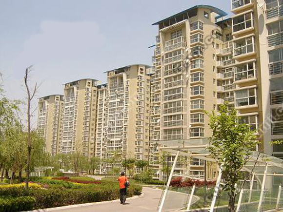 青岛鲁信长春