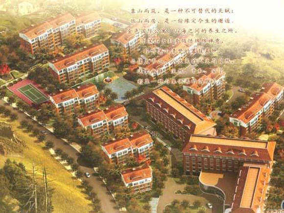 青岛金色国际