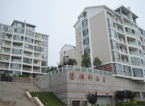 青岛碧佛利山庄